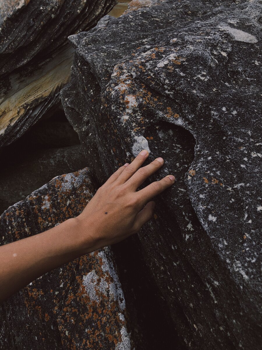 фото из интернета