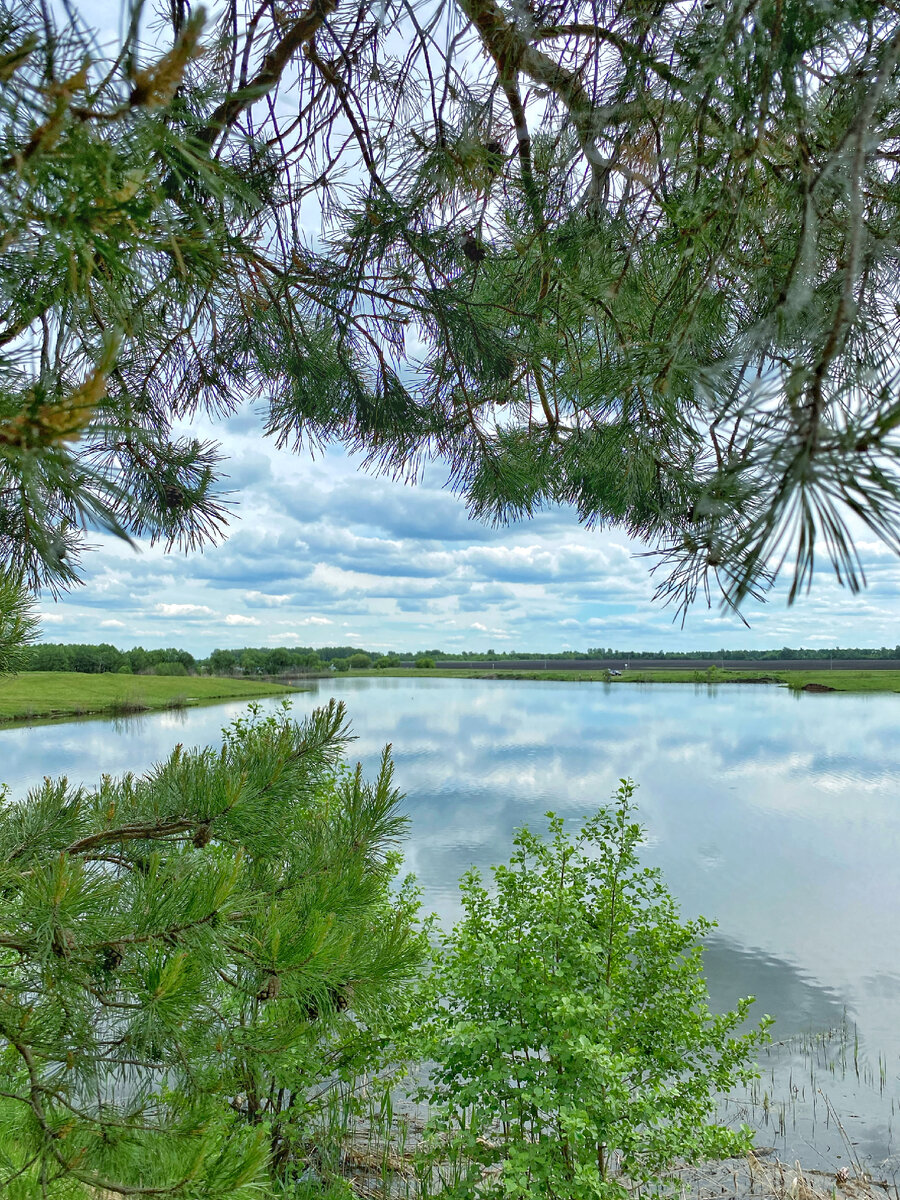 Замечательное место для отдыха и рыбалки🎣 | София Дзебисова | Дзен