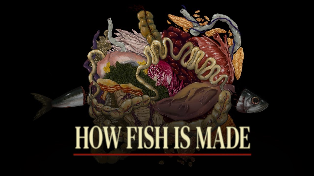 How fish is made - очень странная игра