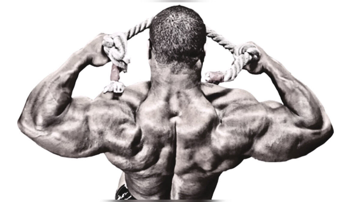 Добавьте описание