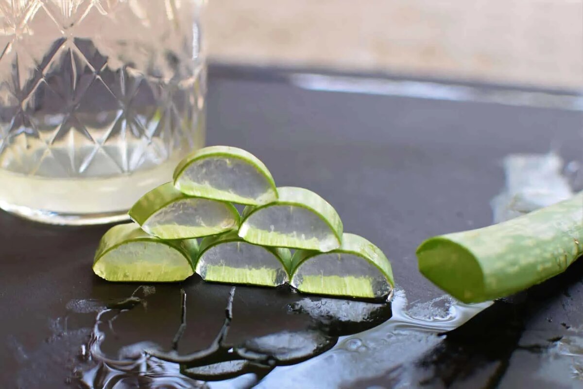 Присмотритесь к скромному растению алоэ вера.