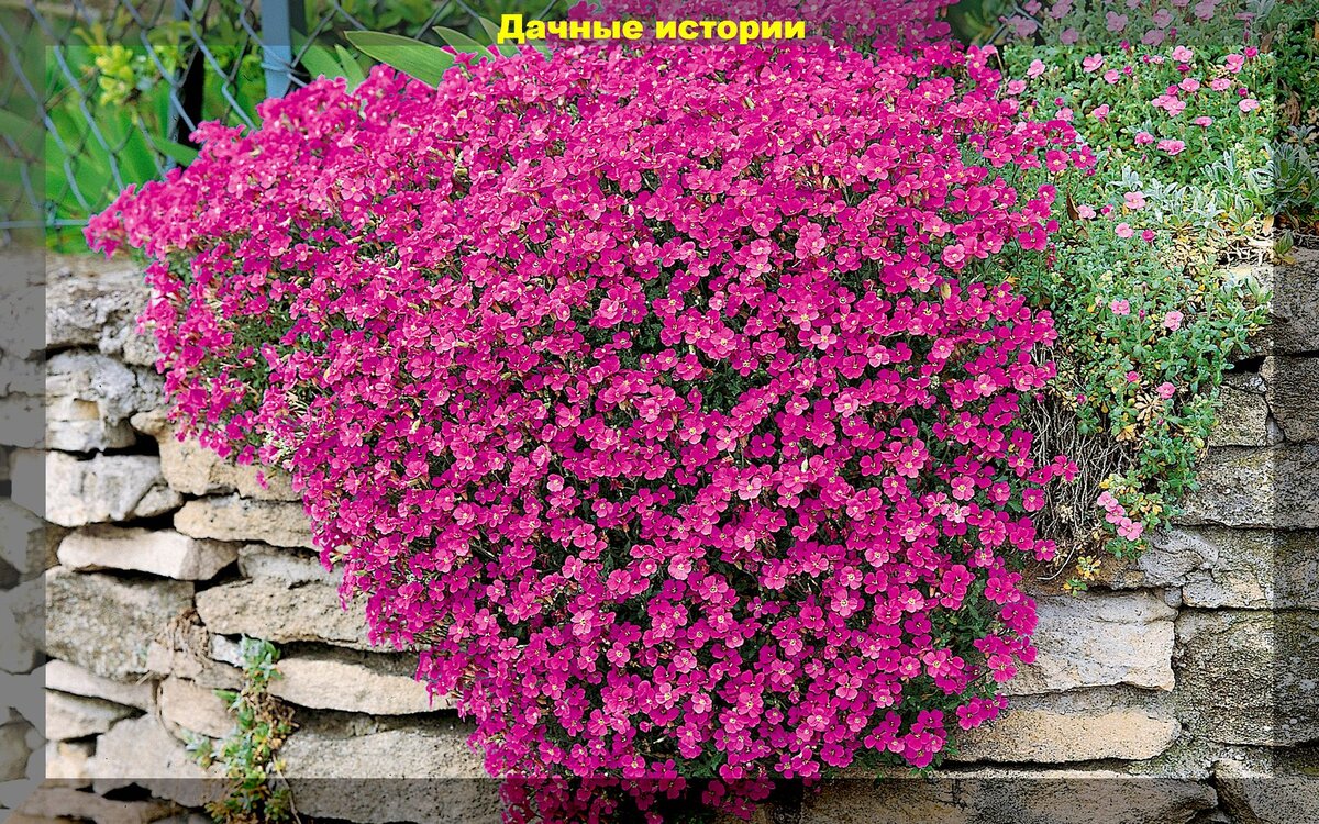 https://vk.com/photo-159774511_457253850