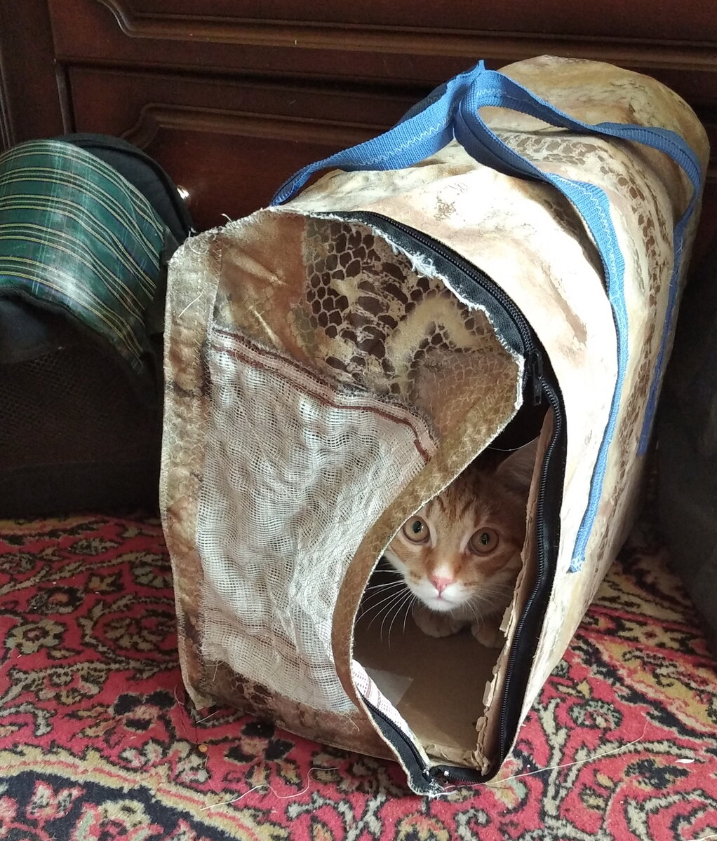 Личное фото.