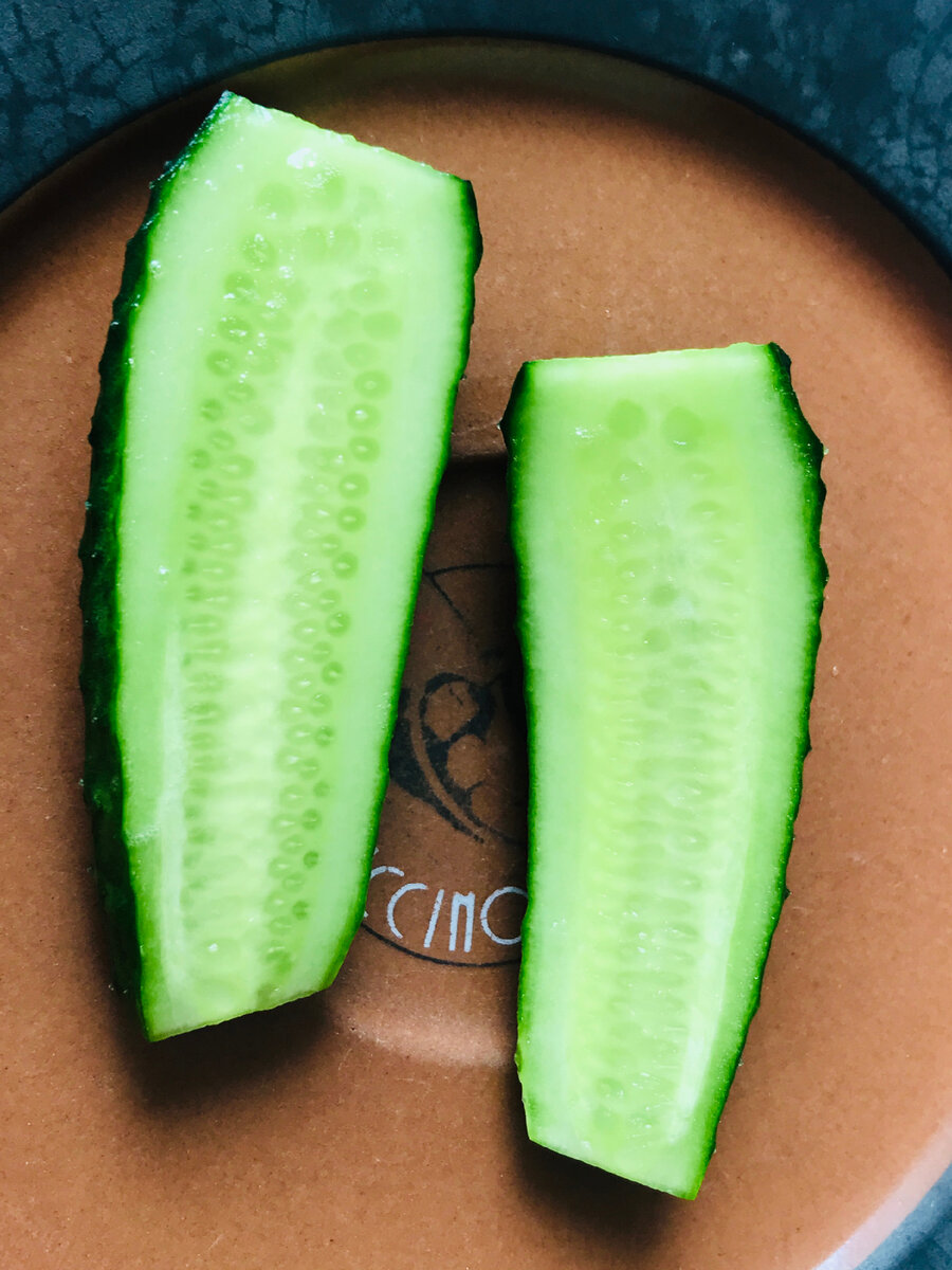 огурец окошко f1 выращивание на окне