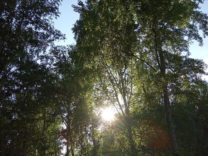 Фотография из личного архива автора