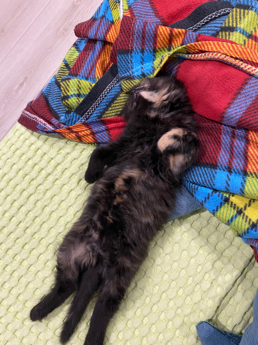 Самая удобная поза для сна (из архива автора)