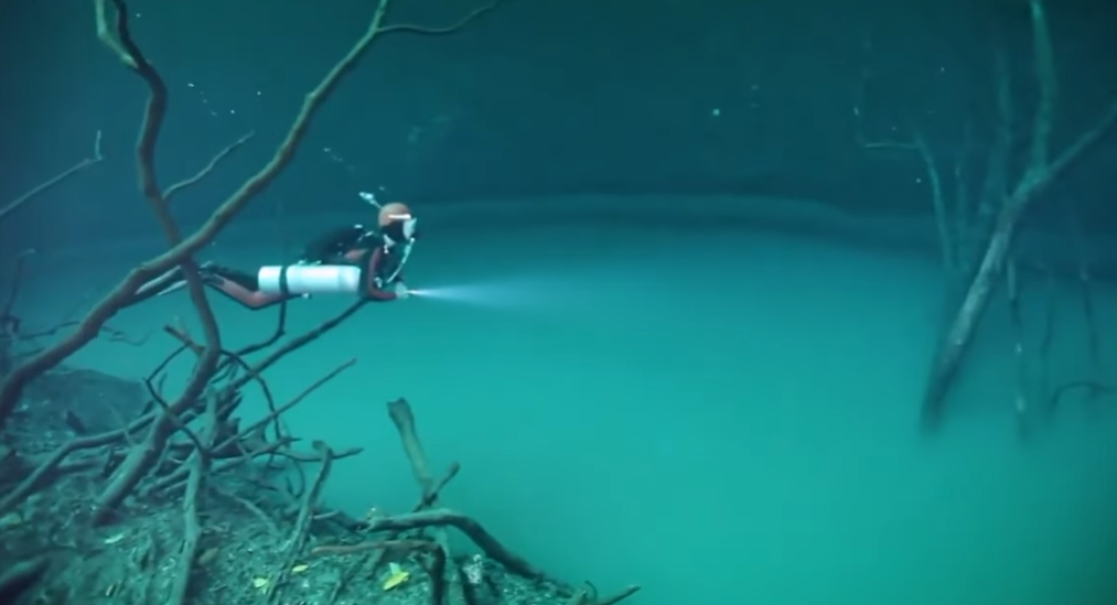 Сенот ангелита мексика. Сенот анхелита в мексике. Река сенот ангелита. Река сенот ангелита. Пейзаж вечер.