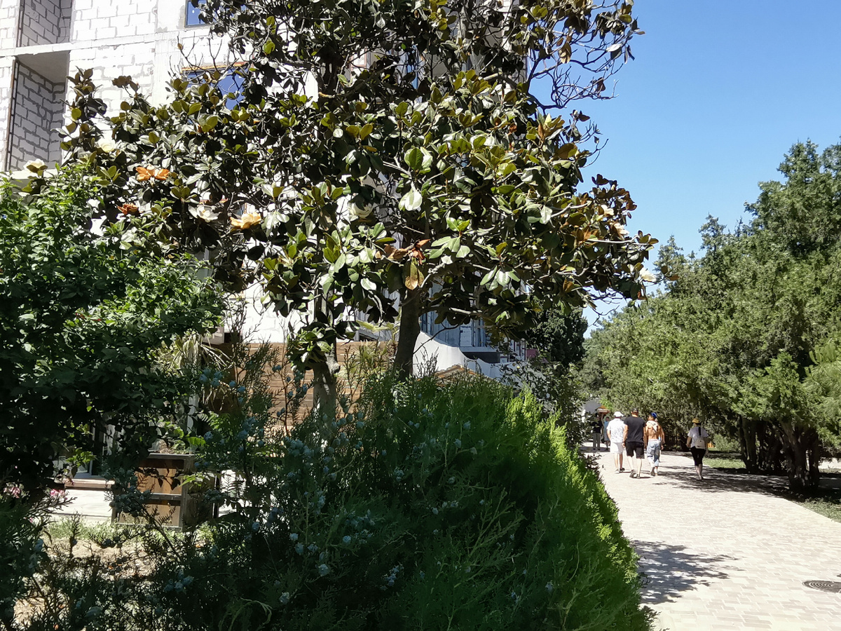 Днём жара стоит. Алушта.