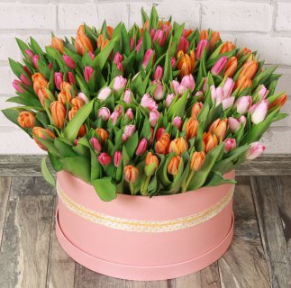 Фото из Яндекс картинки