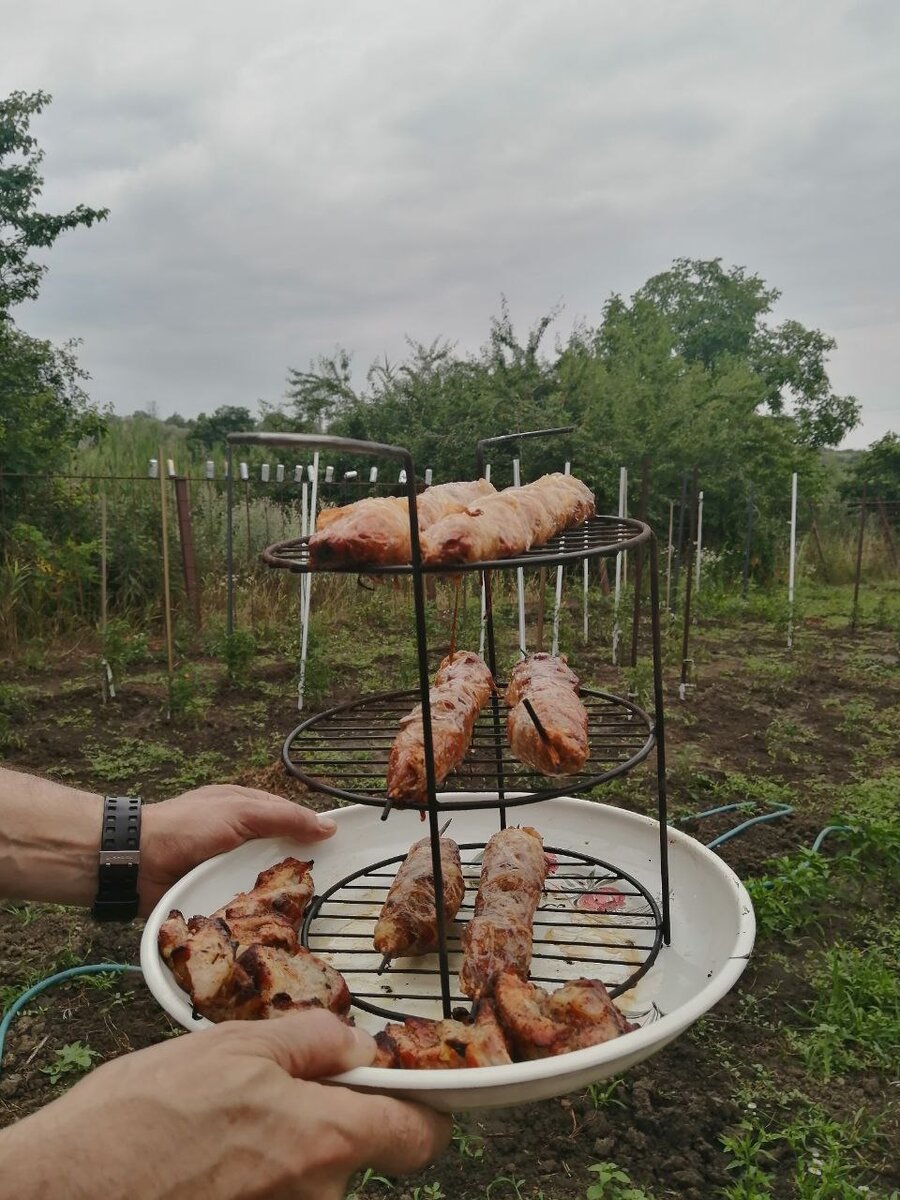 Это не все мясо, шашлык был уже съеден