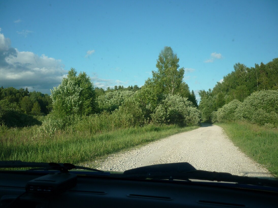 фото автора.