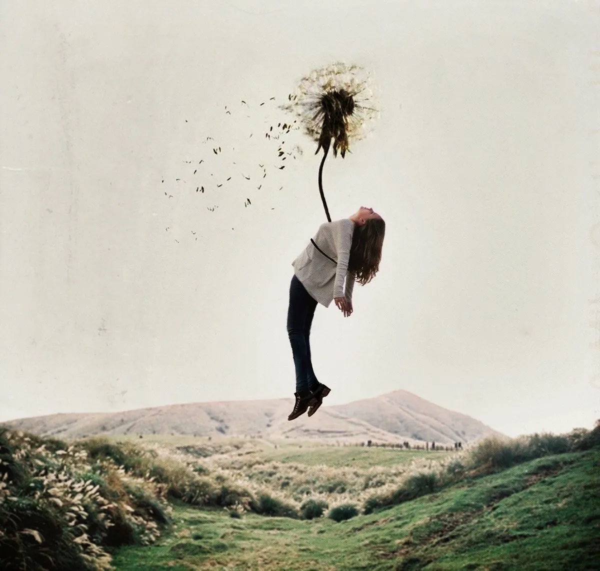 Фото: Annegien Schilling