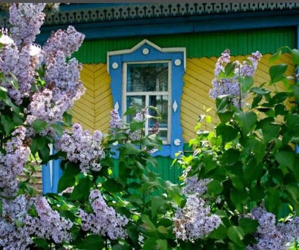 твой дом...
