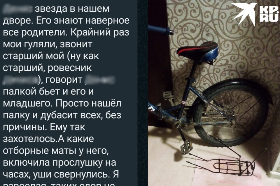     Родители подростков говорят, что 7-летний мальчик сам виноват и ведет себя вызывающе. Фото: Предоставлено родителями мальчика