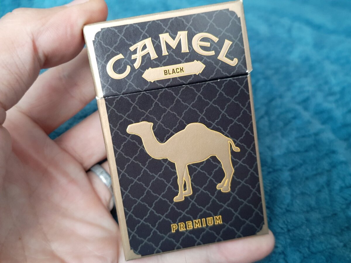 Сигареты кемал. Кэмел Блэк премиум. Кэмел черный сигареты. Camel сигареты 2022. Camel сигареты черные.