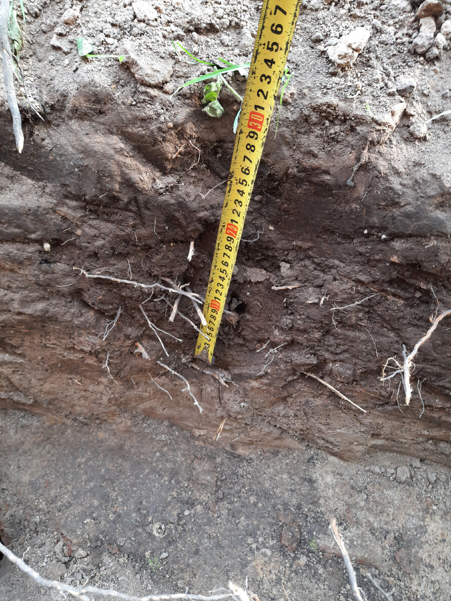 Это самый  глубокий уровень, 30 см.