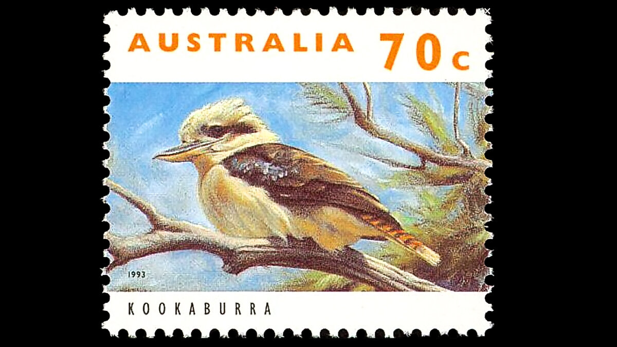 Австралия 1993 год (фото из открытых источников)