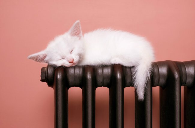 Фото с сайта https://vecherka74.ru