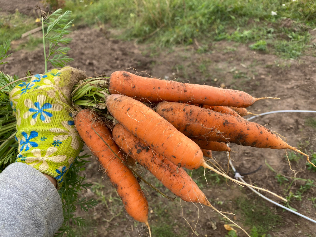 Личное фото 