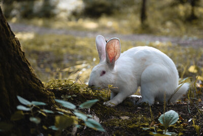   Осенний лес в Подмосковье ©Александр Манзюк РИАМО