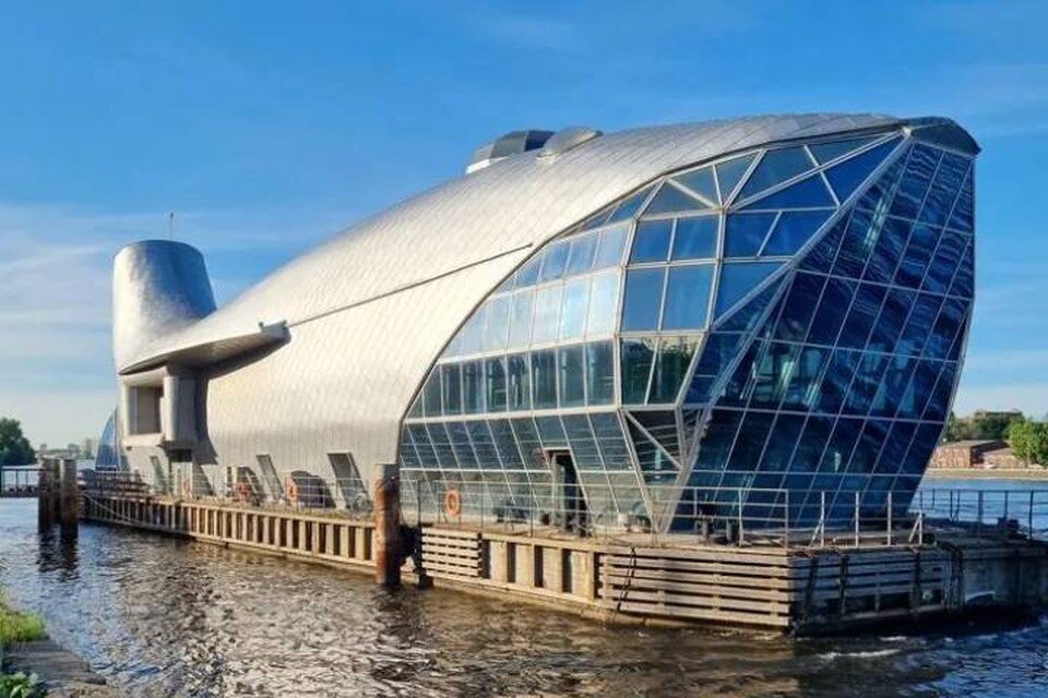     Ресторан в виде кита на проспекте Обуховской Обороны выставили на продажу за 35 млн рублей / Фото: Авито