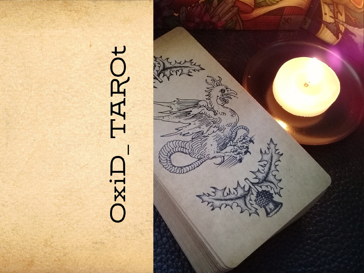 Фото Автора канала 