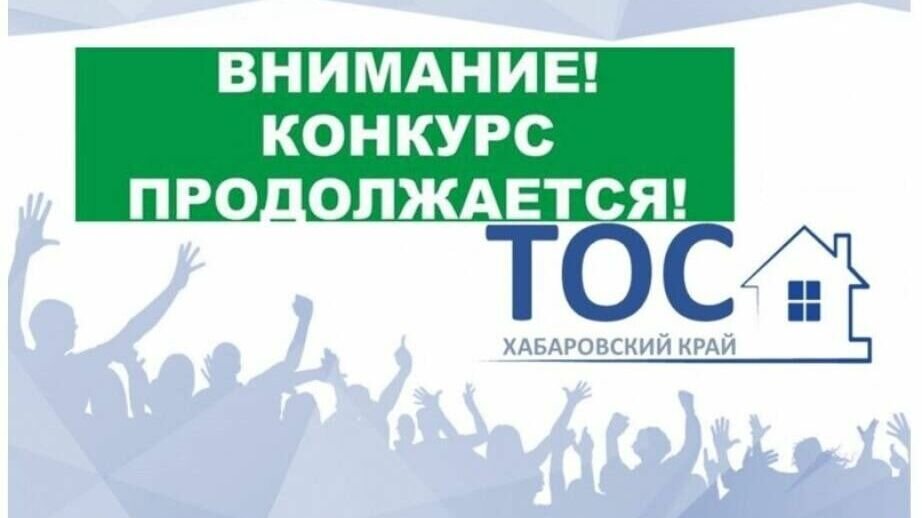     В настоящее время в Хабаровске работает более 200 ТОС. Они участвуют в краевом и городском конкурсах на получение грантов для реализации своих идей в 2023 году.