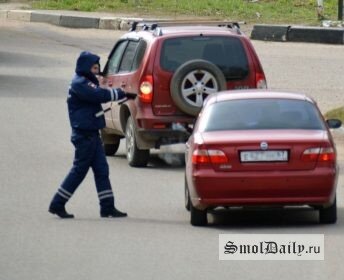 Фото: Александр Масюков press  📷
