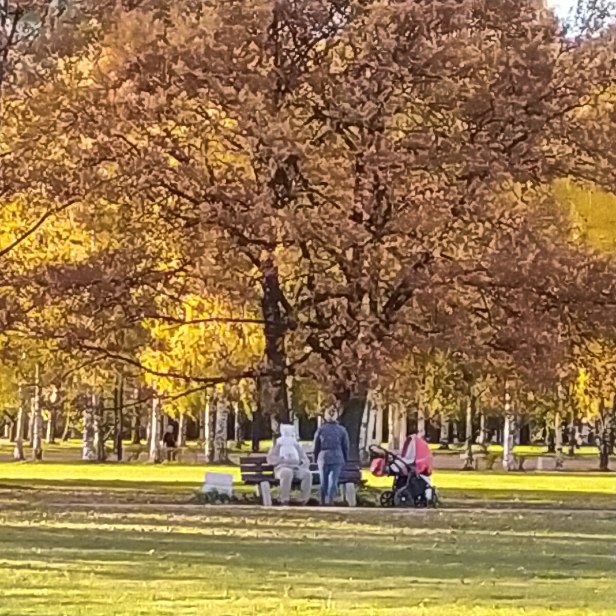 Гуляют мамочки с малышами.