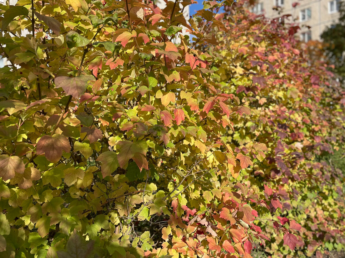 Фото автора канала NikI Photostory