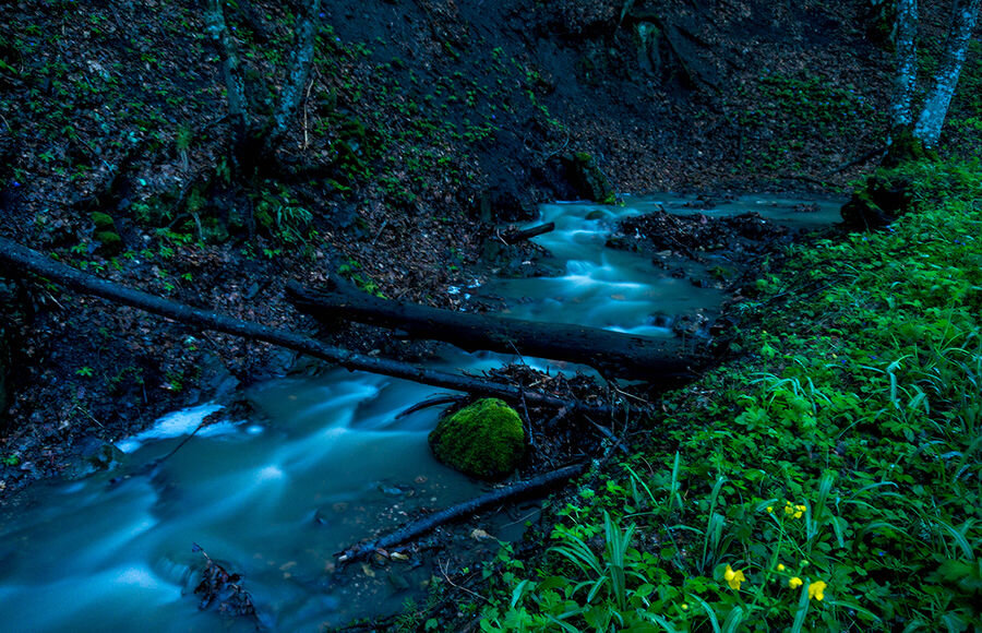 Яндекс-картинки