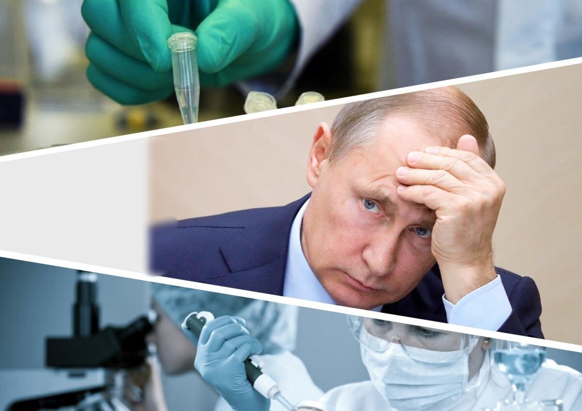 Для создания иллюстраций использовались материалы из сервиса Яндекс.Картинки.