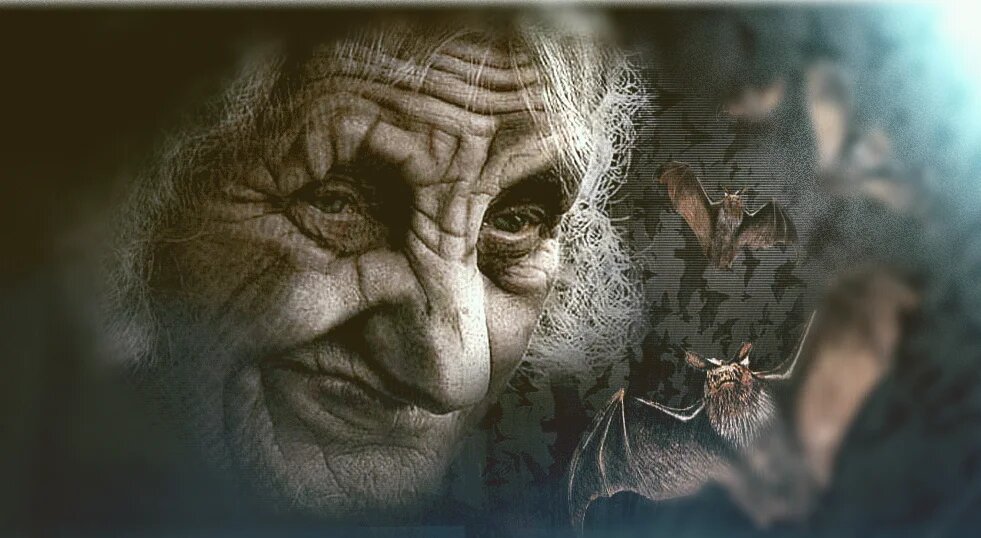 фото из открытых источников интернета