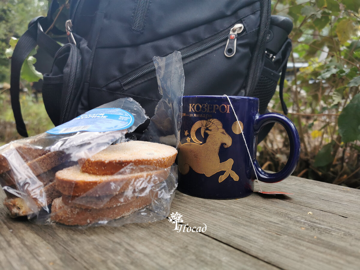 Я люблю эти одинокие визиты на дачу. Никто не отвлекает. Можно работать до приятной усталости, размышлять, пить ароматный чай и слушать тишину...