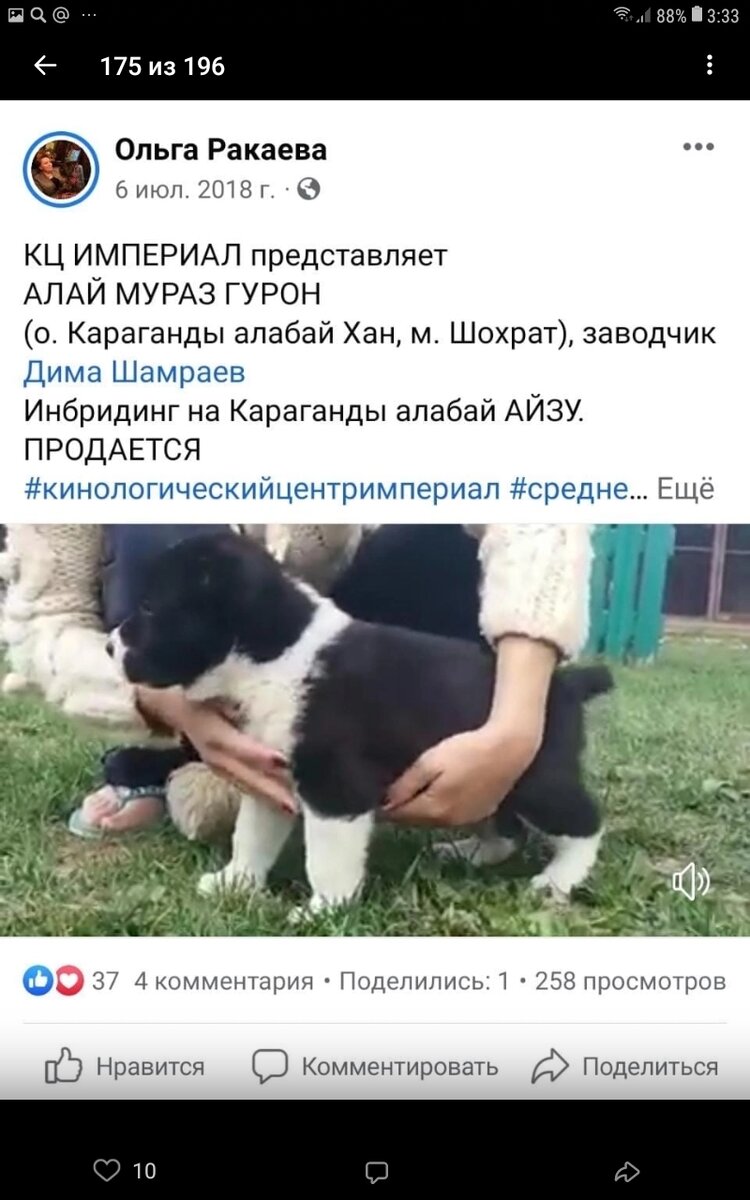 Это он в детстве).