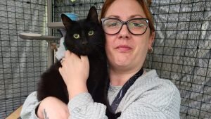    Фото: "The mirror" Дарья Рубайло