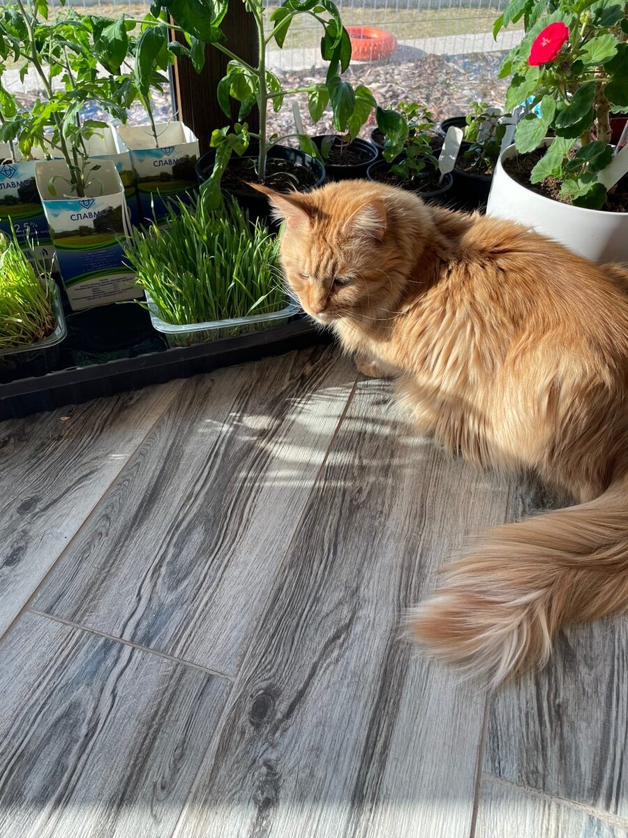 Фото из личного архива. 