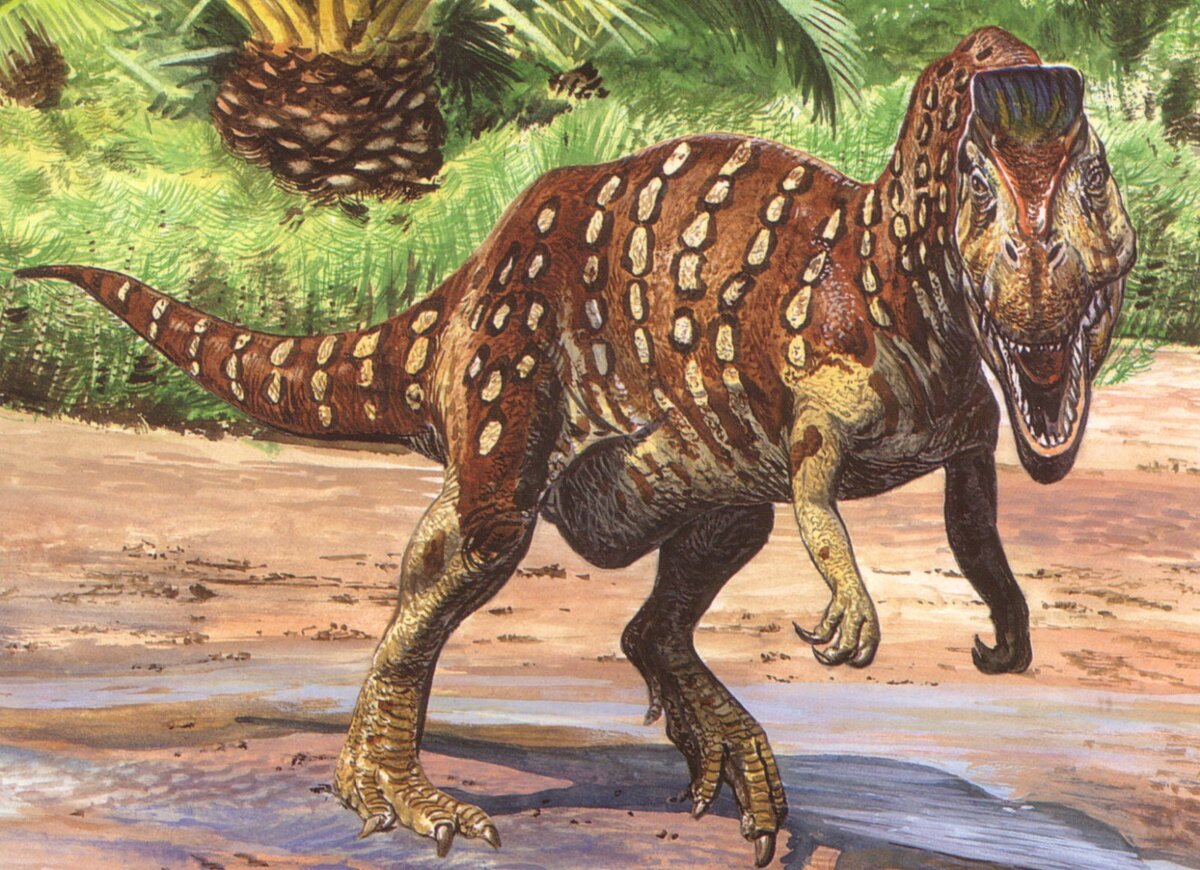 Когда в 4 утра пешком из ночного бара…