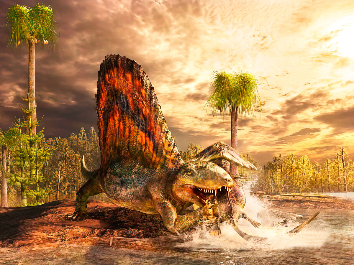 Горгонопс. Саблезубый звероящер. Вымершее животное. Факты о животных