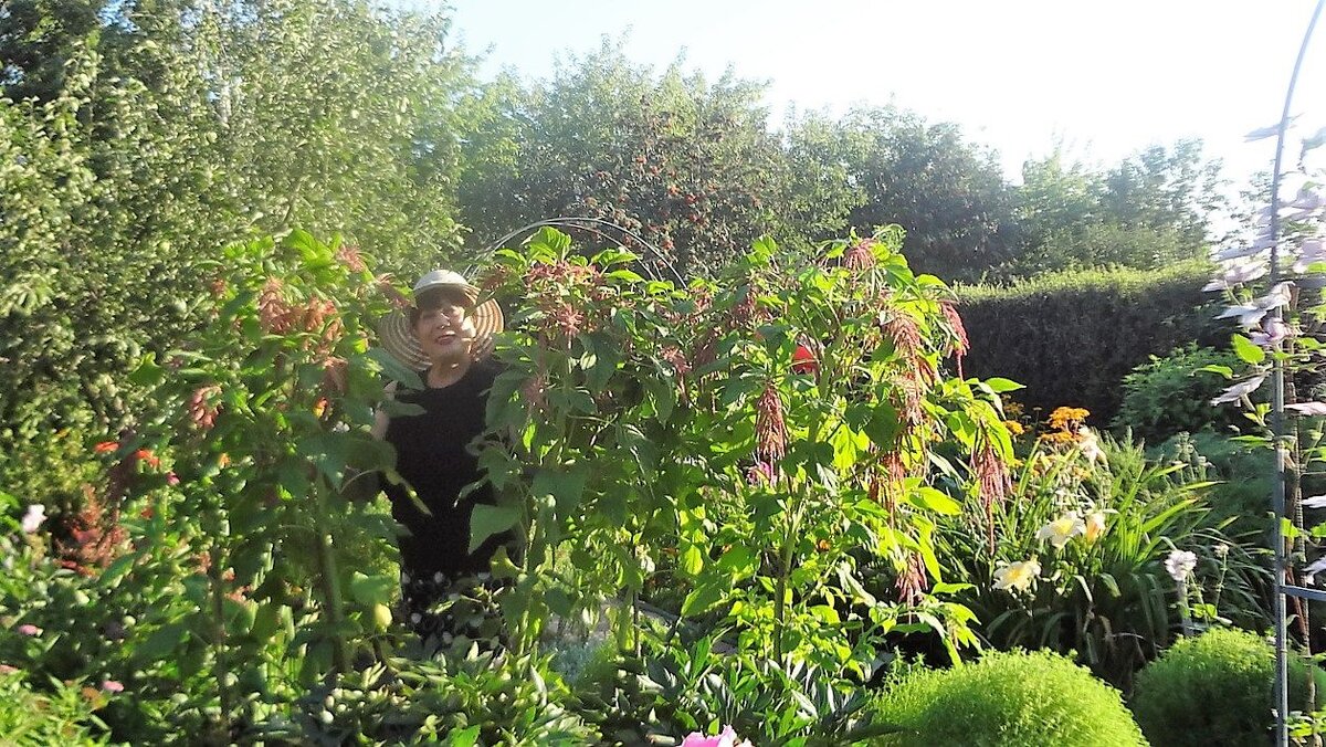 Утопаю в красоте на даче сестры в Тюмени четыре года назад