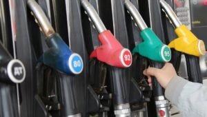    Фото: twitter.com Дарья Рубайло