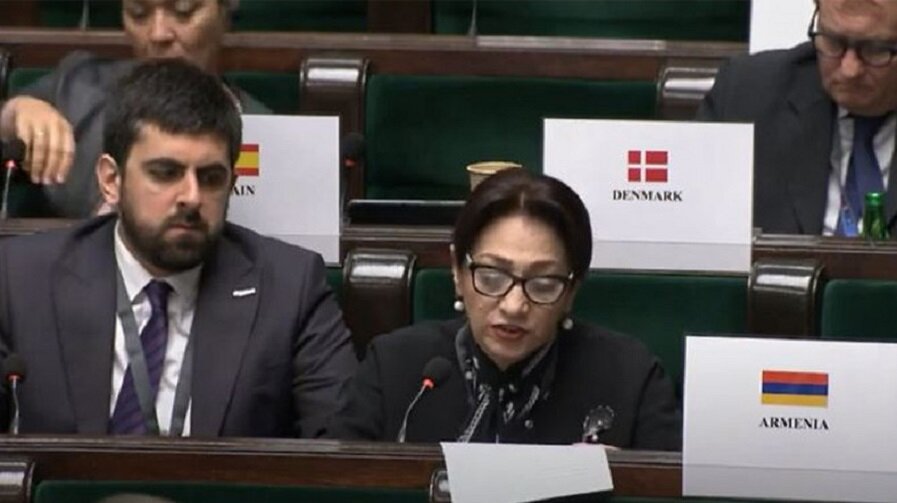 Азербайджан должен быть привлечен к ответственности как военный преступник – представитель Армении Лилит Галстян на заседании ПА ОБСЕ. Фото