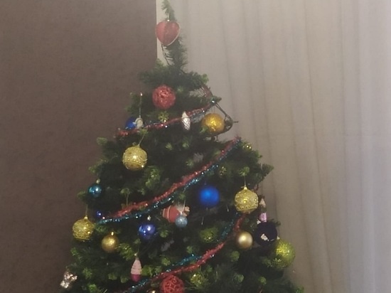     Фото: архив "МК в Калуге"