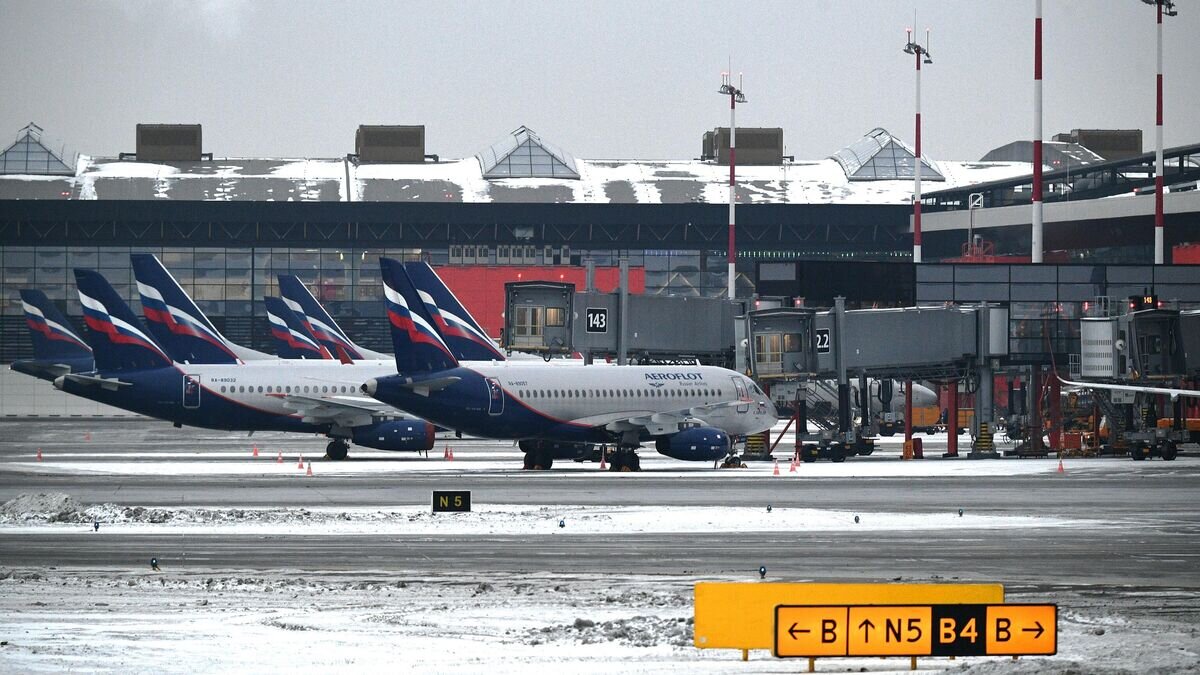    Самолеты авиакомпании "Аэрофлот" на летном поле Международного аэропорта Шереметьево© РИА Новости / Максим Блинов