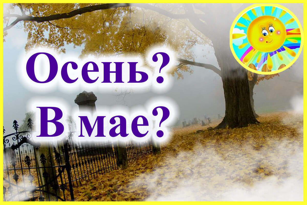 Личный архив