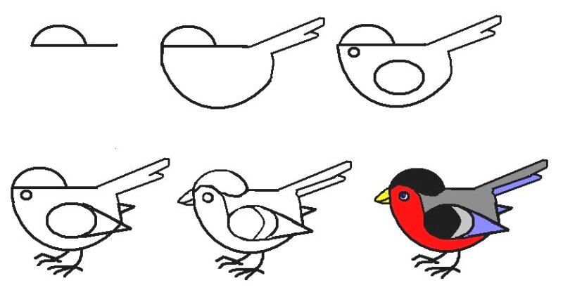 Рисунки птиц