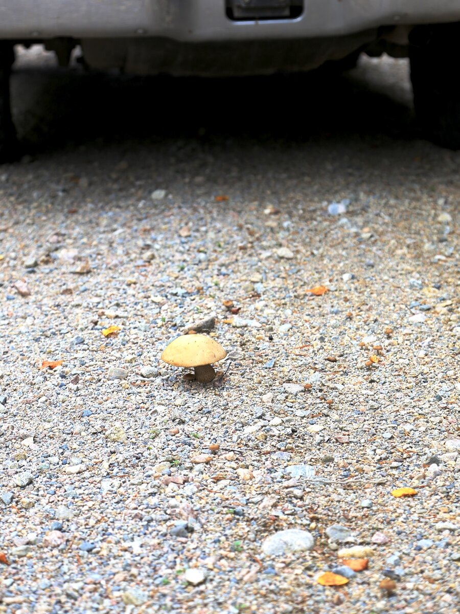 20.08.2013  14:42:50