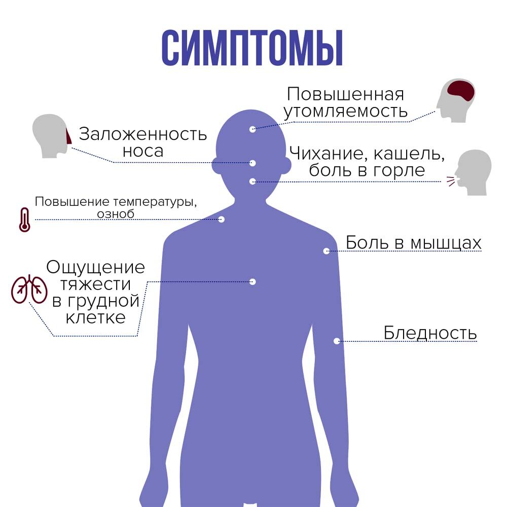 Антиковидный травяной сбор | Вопросы здоровья | Дзен