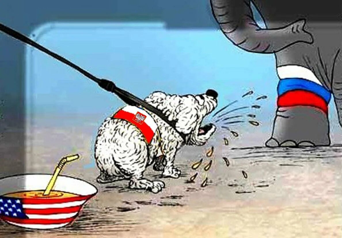 (рис. из открытых источников)