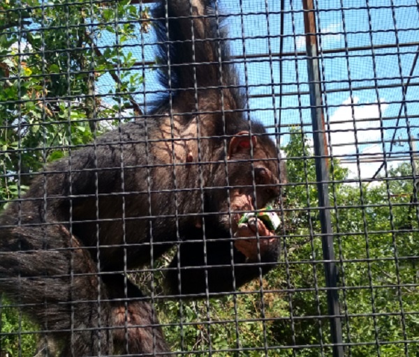 Боря распечатал пачку и пьет сок